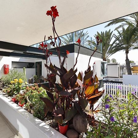 Maspalomas Beach Apartment Charca 1 Maspalomas (Gran Canaria) Exterior foto